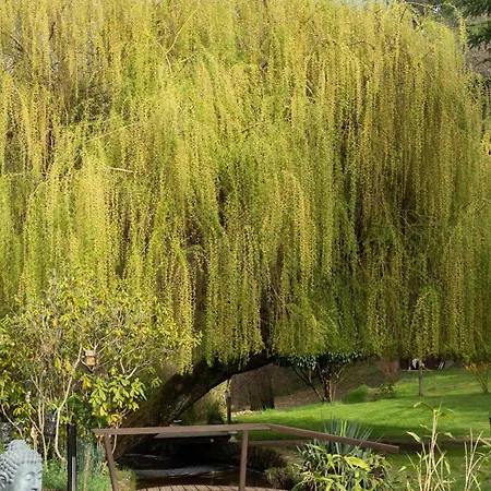 La Petite Vernoelle Vakantiehuis Premilhat